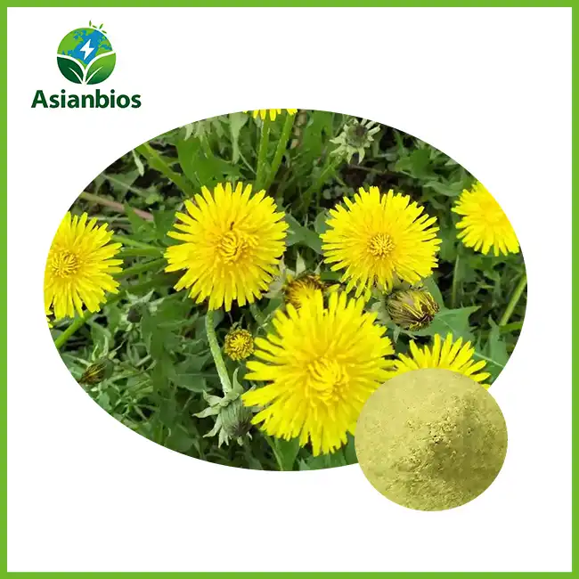 Dandelion Herb Powder